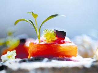 sashimi vom saibling