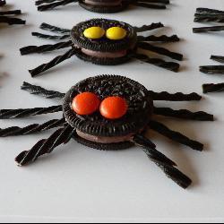 schokoladen spinnen