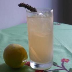selbstgemachte lavendel limonade