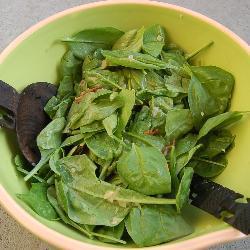 spinatsalat mit warmem dressing aus senf und speck